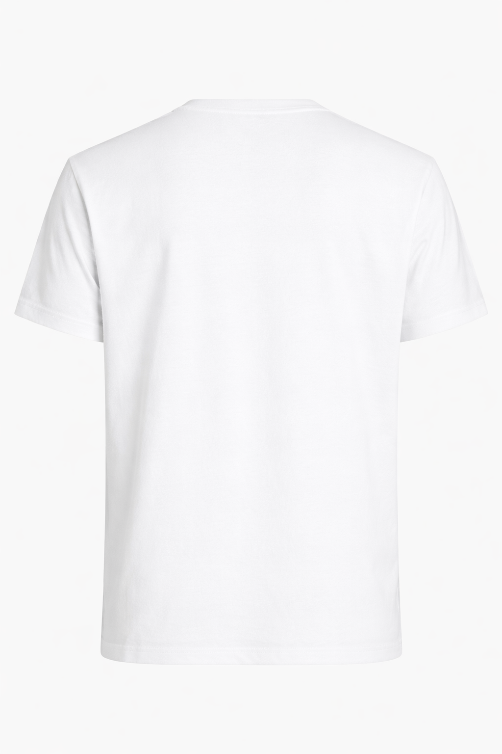 Ramen Bowl Embroidered Tshirt